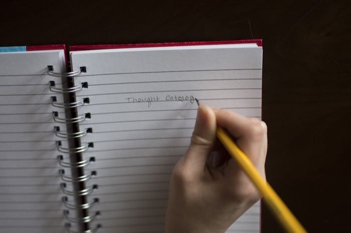 An open blank diary with a pen resting on the pages, ready for the first entry